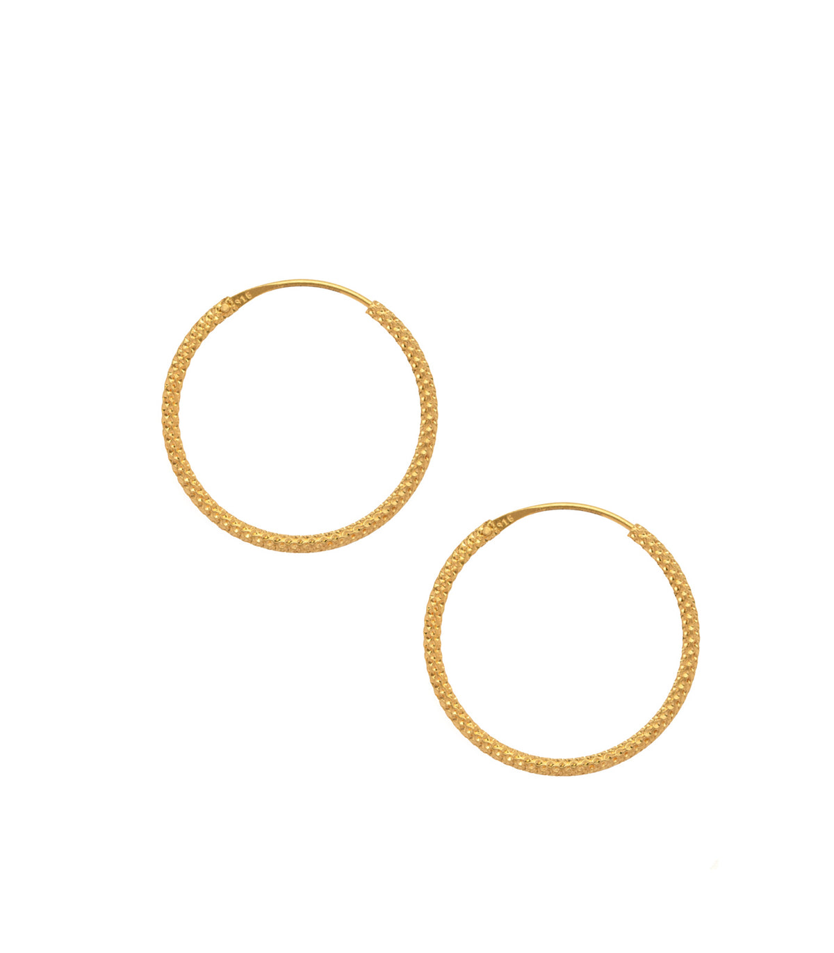 Chic Golden Hoop Earrings